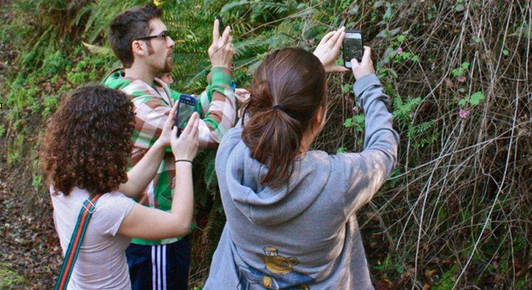 Person using the iNaturalist app in the field to log a nature observation