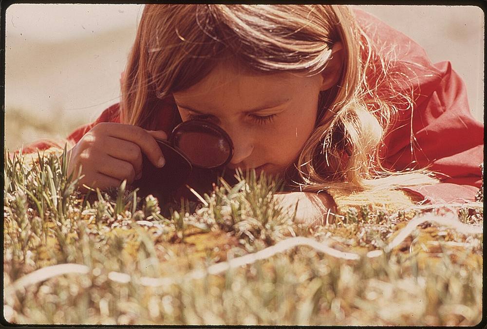 Girl studying plants with a magnifying glass on a nature walk